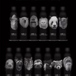---NEED--- Lucky 13 Contest from April 2023. 13 different bottles with 13 different animals.. I have #1, #5, #9, and #12. Need the other 9 bottles.